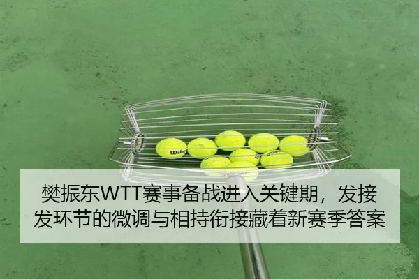 樊振东WTT赛事备战进入关键期，发接发环节的微调与相持衔接藏着新赛季答案
